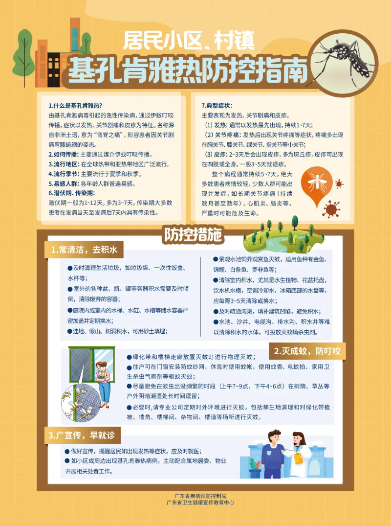 6401.webp.jpg