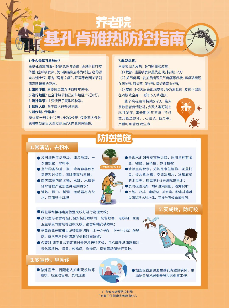 6403.webp.jpg
