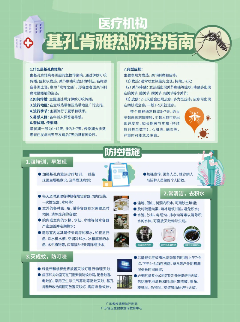 6405.webp.jpg