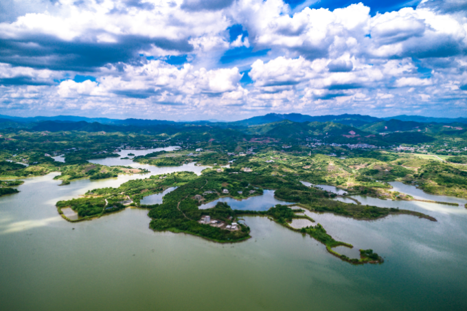 圖為四五村當(dāng)風(fēng)嶺龍眼示范基地概貌（袁群華攝）.jpg