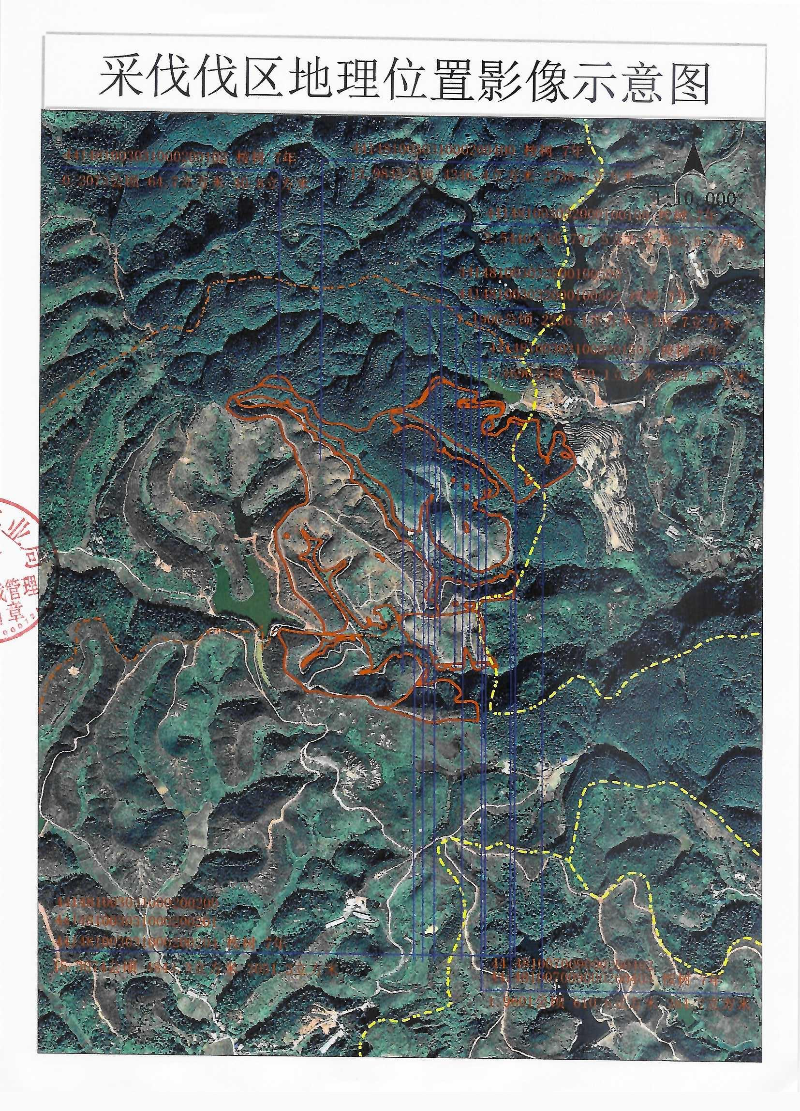 公示照片_0004.jpg