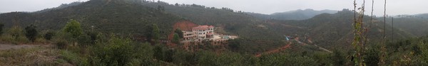 名峰現(xiàn)代農(nóng)業(yè)油茶基地.jpg