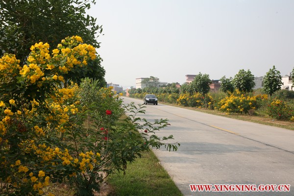 梅華線興寧段綠色廊道建設(shè)示范路.jpg